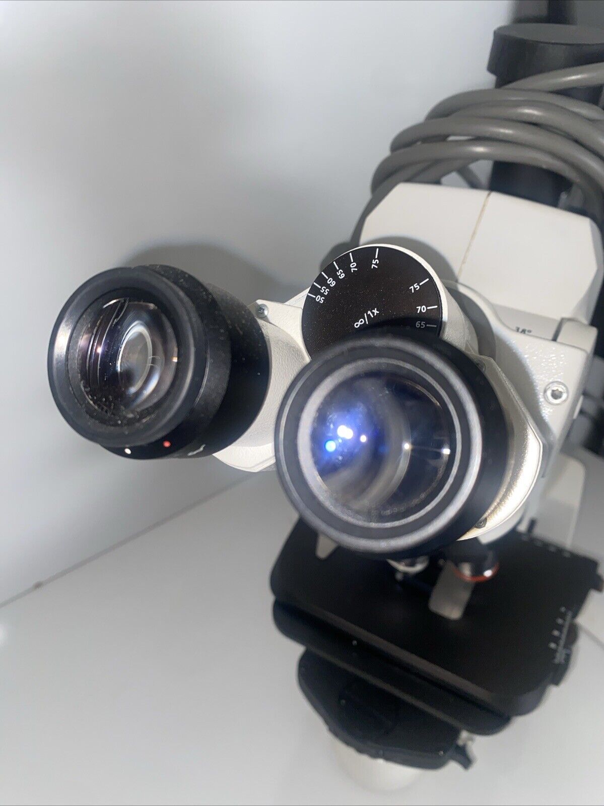 Carl Zeiss Axio Lab. A1 Brightfield/Phase Contrast Ergo Microscope